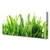 tulup.si Slika na platnu Travnate bilke 120x60 cm