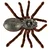 Aga Daljinsko vodeni pajek TARANTULA + PILOT