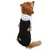 Paws & Whiskers Odelo za pse Blackballsweat, Crno