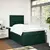 vidaXL Box spring postelja z vzmetnico temno zelena 120x200 cm žamet
