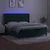 vidaXL Box spring postelja z vzmetnico LED tem. zelena 160x200cm žamet