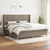 Vidaxl Box spring postelja z vzmetnico taupe 200x200 cm blago