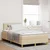 Vidaxl LED Box Spring Postelja z blazino krema 120 x 190 cm blago