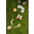 Kids Concept - Set za raziskovanje narave