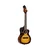 Ukulele Concert Private room serija G-C-E-A DSSUITE-UKE Ortega