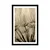 Plakat s paspartujem semena regrata v sepia varianti - 20x30 no frame