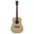 VGS akustična kitara RT-10 ROOT NATURAL SATIN