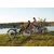 HUFFY Električno kolo Everett Plus, 27,5, L, 350 W