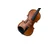 PIERRE MARIN VIOLINA SALIERI 4/4 SET