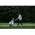 Golf cart bag Big Max Dri Lite Prime