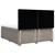 Vidaxl Box spring postelja z vzmetnico taupe 200x200 cm blago
