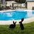 Aberto Design Set dekorativnih figura Rabbits -A 01, 52x35 & 56x24 cm, 2 komada
