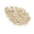 Wet n Wild Puder u prahu Translucent 20 g