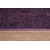 Conceptum Hypnose Tepih 150x230cm Šareni