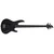 ESP LTD BAS KITARA AB-10 kit Black Satin