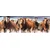 Dino Puzzle Konji v vodi Panoramski 150 kosov