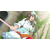 PS4Â Konosuba - Gods Blessing on this Wonderful World! Love For These Clothes Of Desire!