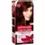 Garnier Color Sensation Boja za kosu 4.60