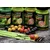 Carp Food Mini Boosted Hookers - 12mm/50g vabe iz tigrovega oreha
