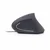GEMBIRD USB optički ergonomski miš MUS-ERGO-01