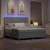 LED Box Spring Postelja Svetlo siva 180 x 200 cm blago