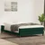 Vidaxl Box spring postelja brez vzmetnico temno zelena 140x220cm žamet