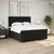 vidaXL vidaXL Box spring postelja z vzmetnico črna 180x200 cm blago, (21321063)