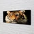 tulup.si Slika na platnu Tiger 125x50 cm