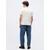 Calvin Klein Jeans Majica bazaltno siva/črna/bela