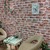 Zidne panele 10 pcs Smeđi cigla 100 x 50 cm EPS pjena