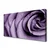 tulup.si Slika na platnu Rose flower rastlin 125x50 cm