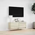 Zidni TV ormarić LED boja hrasta sonome 100 x 31 x 38 cm