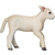 Moj Lamb romney teče