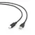 Gembird CCP-USB2-AMBM-6 USB 2.0 Connection cable, A/M B/M, Black, 1.8m