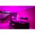 Immax NEO 07745CDO - SET 3x LED RGB+CCT prigušiva sijalica E14/6W/230V Wi-Fi+daljinski upravljač
