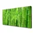 tulup.si Slika na platnu Bambus stem flower rastlin 125x50 cm