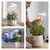 Emos LED lampa za uzgoj biljaka 5 W, 15 dioda, 235 lm, tajmer, USB, Z7901
