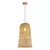 Viseća lampa F7856-1VM NT
