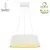 LED visilica FK2003-62V WH