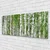 tulup.si Slika na akrilnem steklu Birch tree forest narava 125x50 cm 2 obešalnika