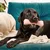 Beco Treat Bone Toy za pse roza 17,5cm