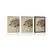 Plakat vrtnice v sepia varianti - 60x90 white