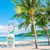 TREACLEMOON Gel za tuširanje My Coconut Island 500 ml