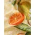 B by Ted Baker Ruta rumena/zelena/oranžna