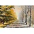 Slika jesenski drevored - 40x30