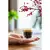 Set 2 kozarcev z dvojno steno Vialli Design Sferico, 70 ml