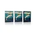 Plakat kiti v oceanu - 60x90 no frame