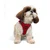Paws & Whiskers Am za pse Air-Mesh, Crveni