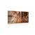 Slika steza v Grand Canyonu - 40x30