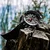 Ure Vostok VK61-575A588